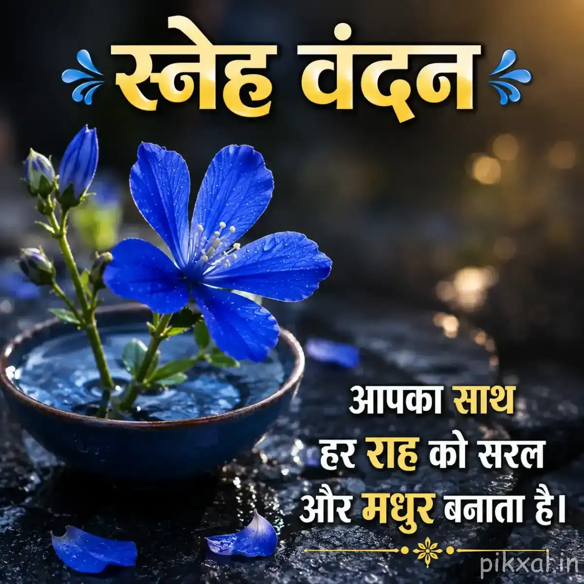 Single blue flower with rounded petals in a shallow bowl of water, surrounded by fallen petals and a Hindi morning wish
