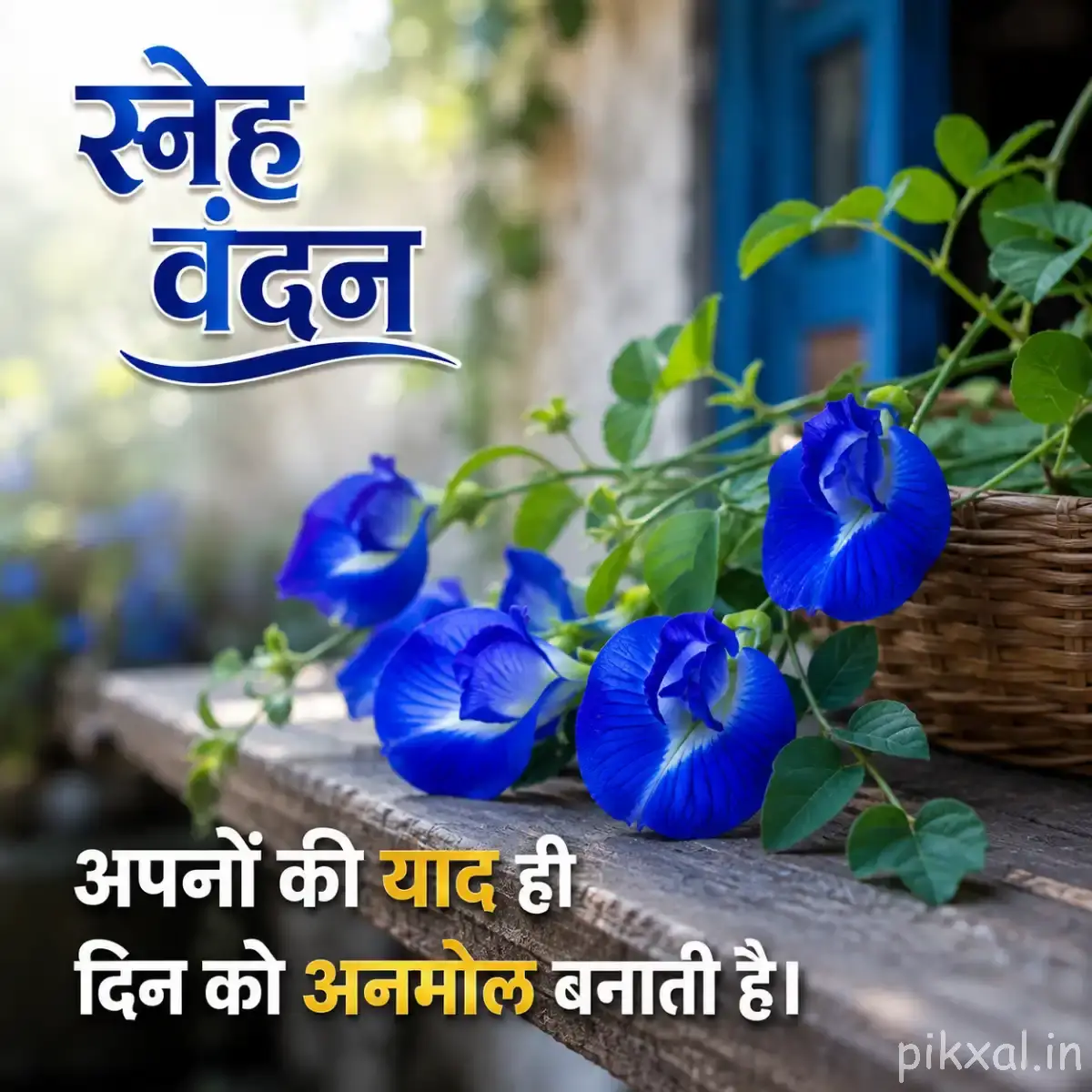 Several blue flowers with rounded petals arranged among green leaves and a rustic basket, with a Hindi morning wish