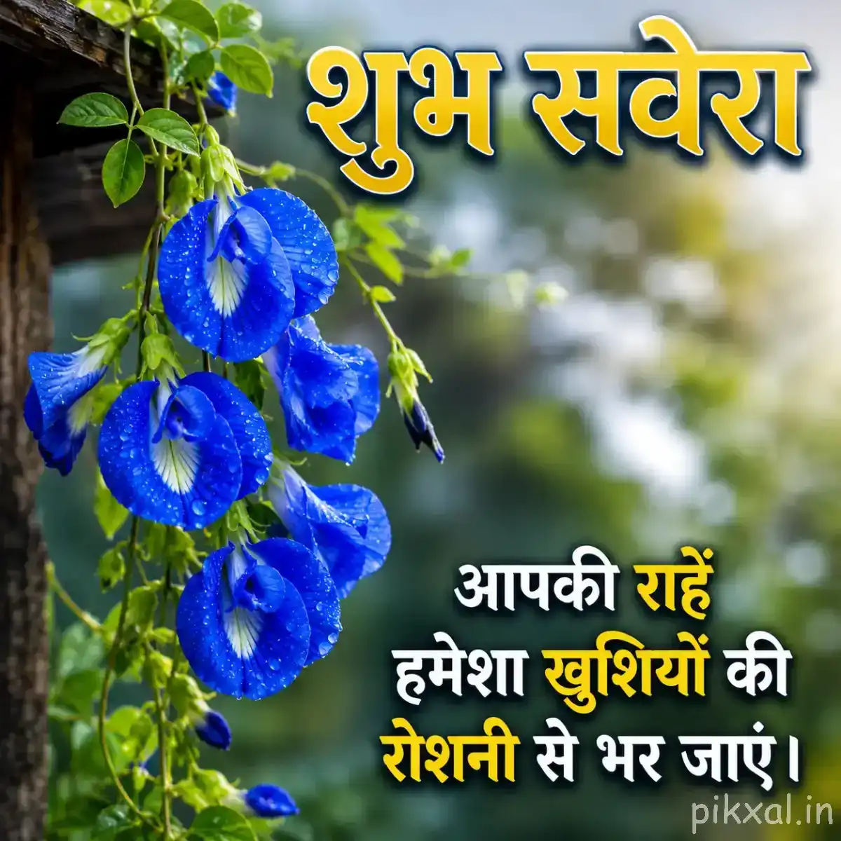 Cluster of deep blue hanging flowers with green leaves against a softly blurred background and Hindi morning wish