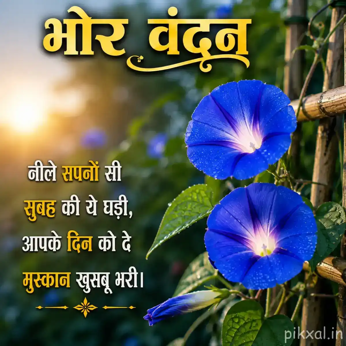Two bright blue trumpet-shaped flowers with pale centers growing beside green leaves against a warm garden background