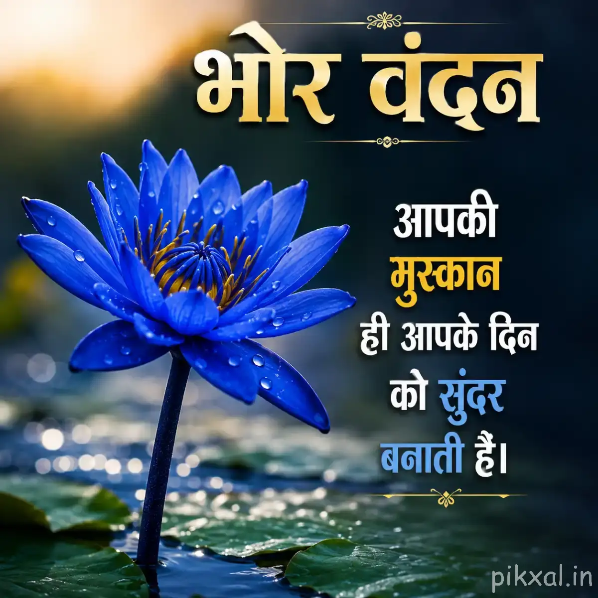 Single deep blue flower with many narrow petals and a dark center against softly blurred greenery