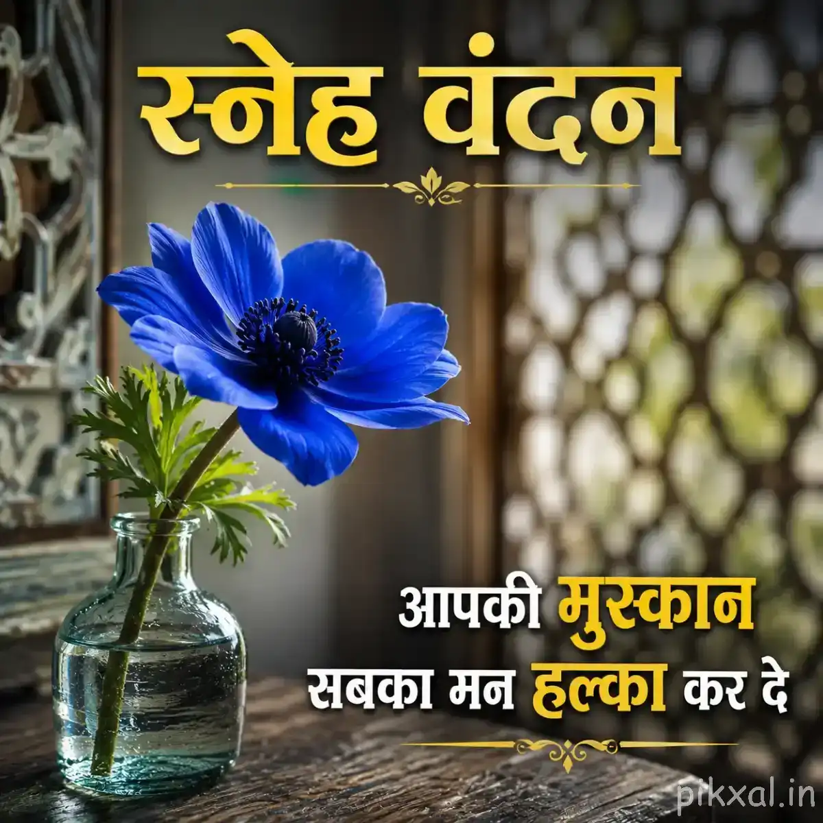 Single vivid blue flower with broad open petals on a slender stem beside a rustic glass bottle