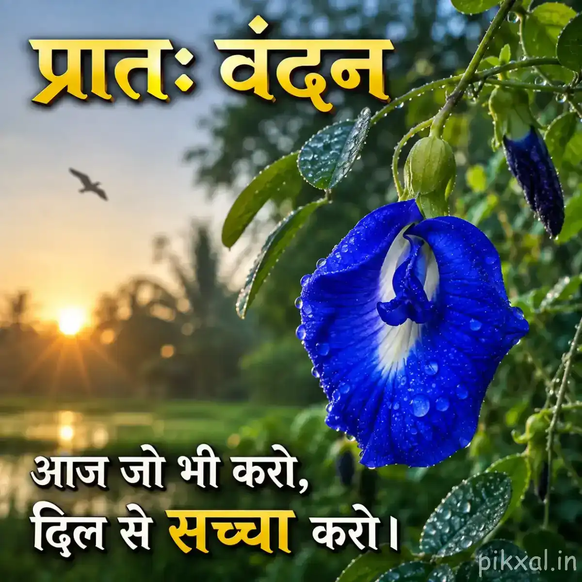 Blue funnel-shaped flower with a pale center growing among green leaves beneath a Hindi morning greeting
