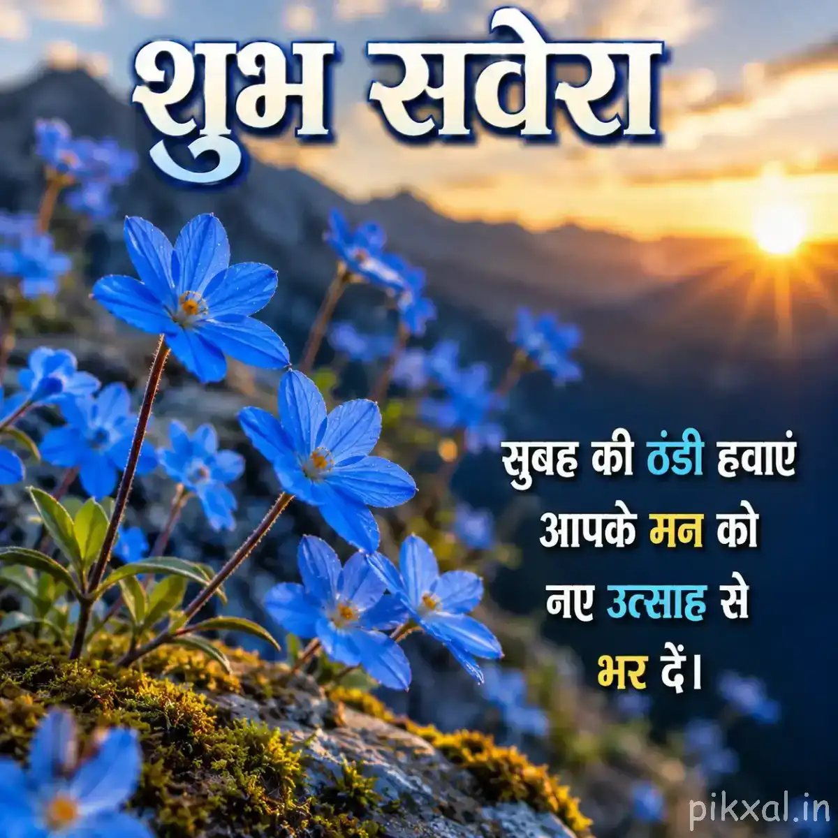 Small blue flowers growing in a loose cluster among green foliage with a glowing sunrise and Hindi morning wish