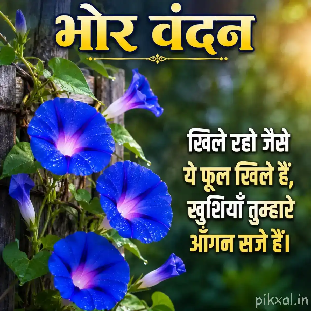 Three blue funnel-shaped flowers with pale centers on leafy stems against softly blurred green foliage