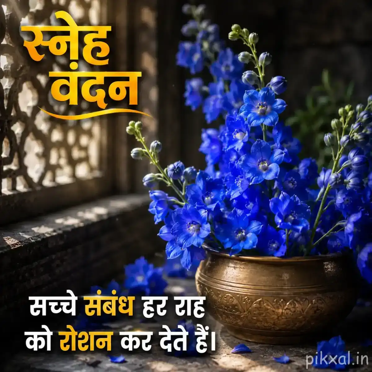 Dense cluster of tiny blue flowers arranged in a rustic pot beside a weathered wall with a Hindi wish