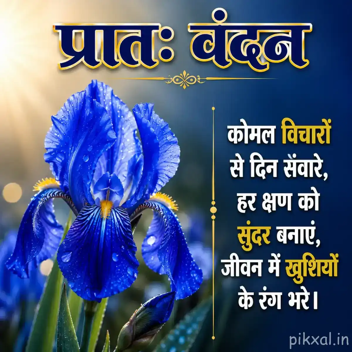 Large blue layered flower with ruffled petals and unopened buds surrounded by green foliage and a Hindi morning wish