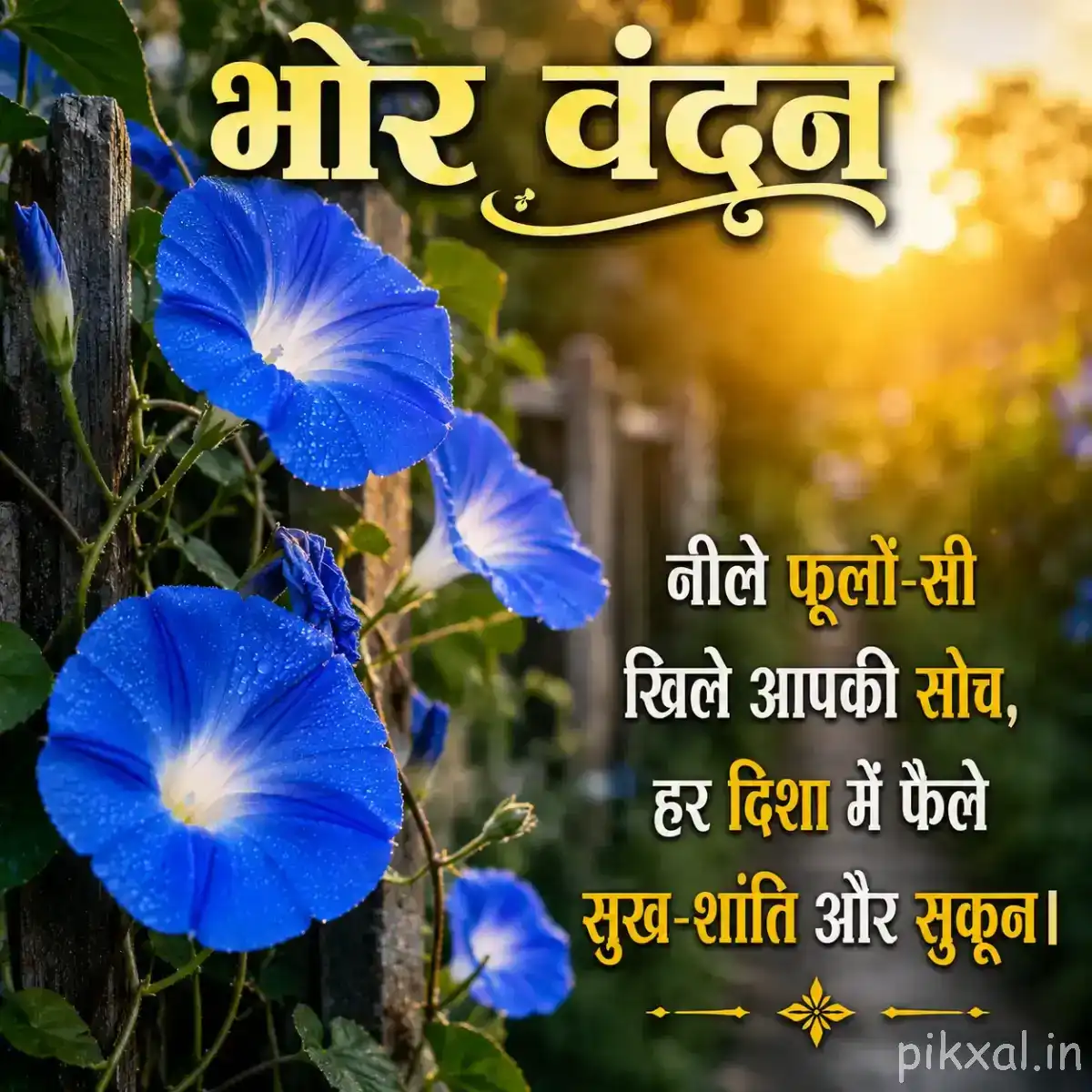 Several blue funnel-shaped flowers with pale centers growing among green leaves with a Hindi morning wish