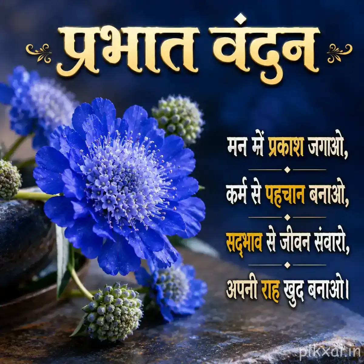 Dense cluster of small blue flowers beside a rounded blue bloom with a Hindi Good Morning message