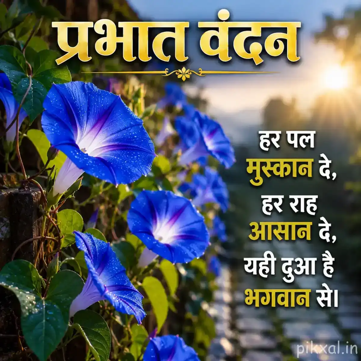 Multiple blue funnel-shaped flowers with pale centers growing among green leaves against a softly blurred sunrise
