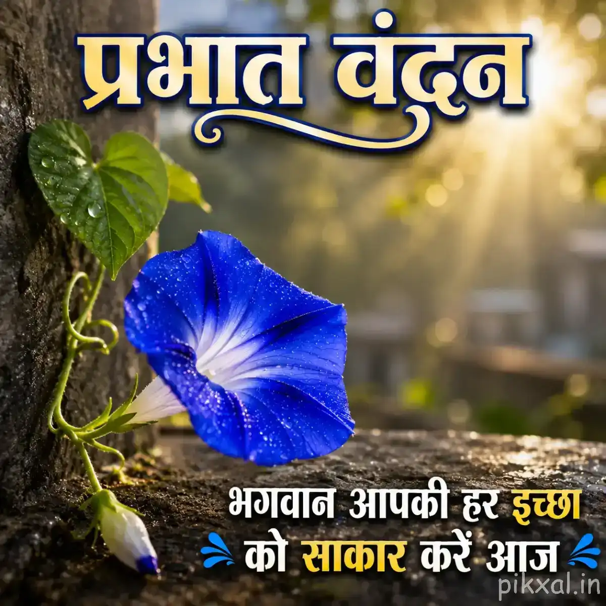 Single blue funnel-shaped flower with a pale center beside green leaves against a softly glowing background