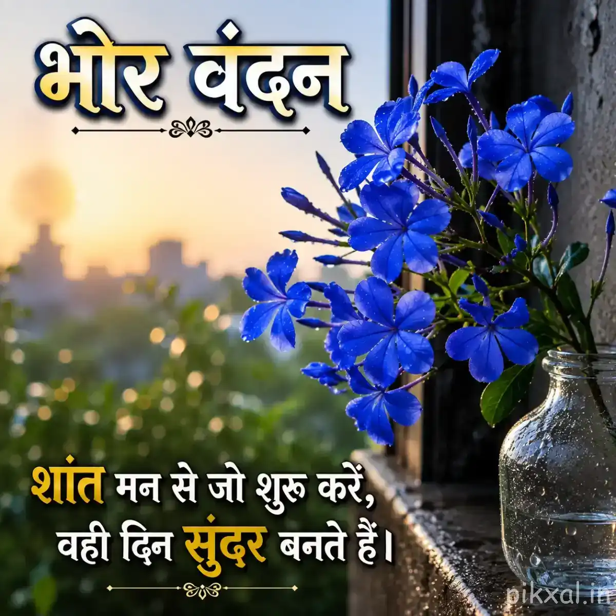 Cluster of small blue flowers growing from leafy stems beside a dark pot with a Hindi morning message