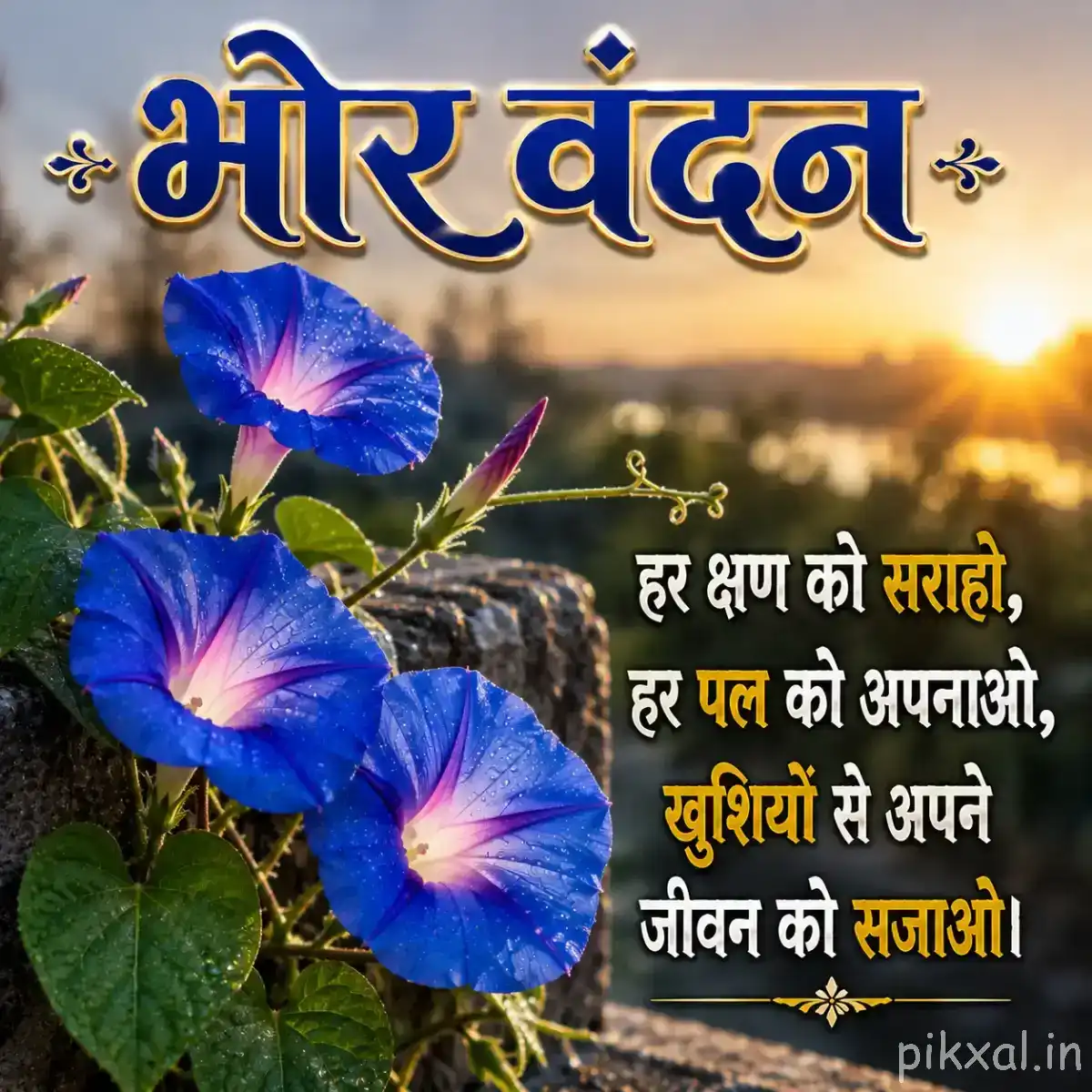 Three blue funnel-shaped flowers with pink centers and green leaves against a glowing sunrise