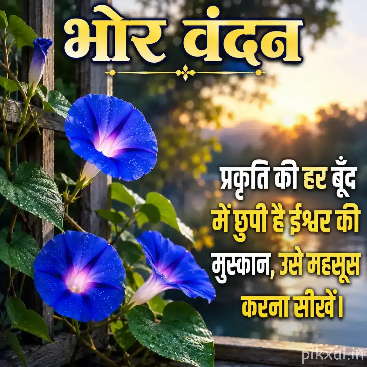 Three blue funnel-shaped flowers with pink centers and green leaves against a softly glowing garden background