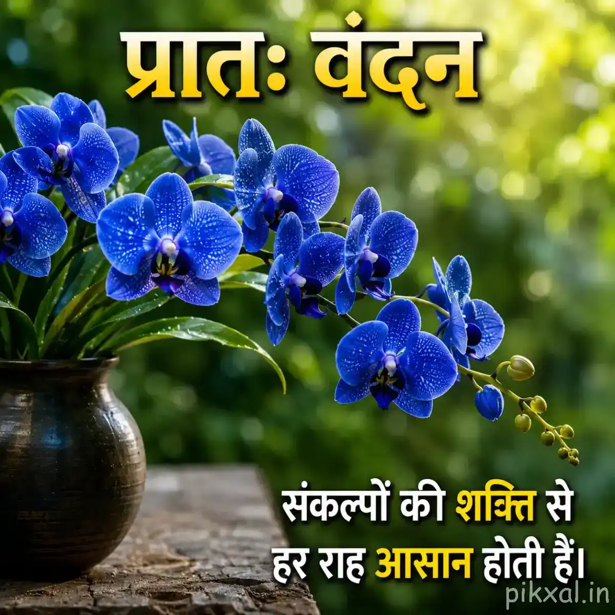 Cluster of blue flowers arranged in a dark rounded vase with green leaves and a Hindi morning wish