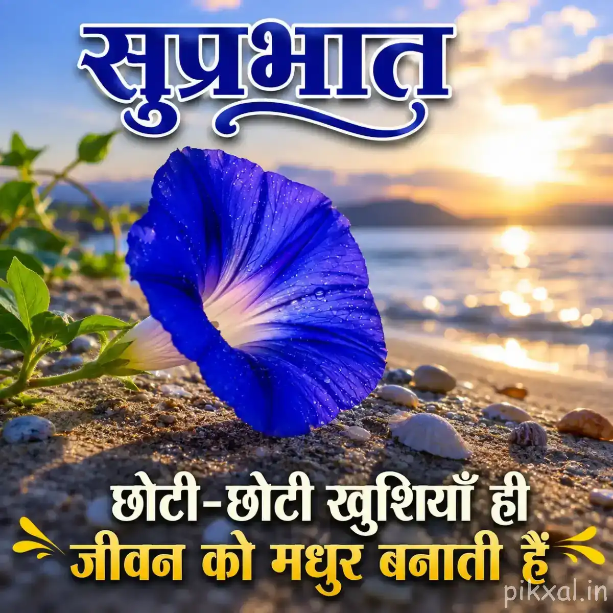 Single large blue flower with a pale center beside rocky water and a glowing sunrise with a Hindi morning wish
