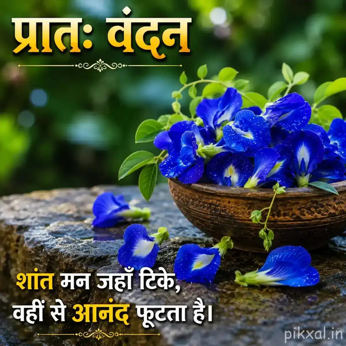Dense cluster of small blue flowers in a shallow basket surrounded by green leaves with a Hindi morning wish
