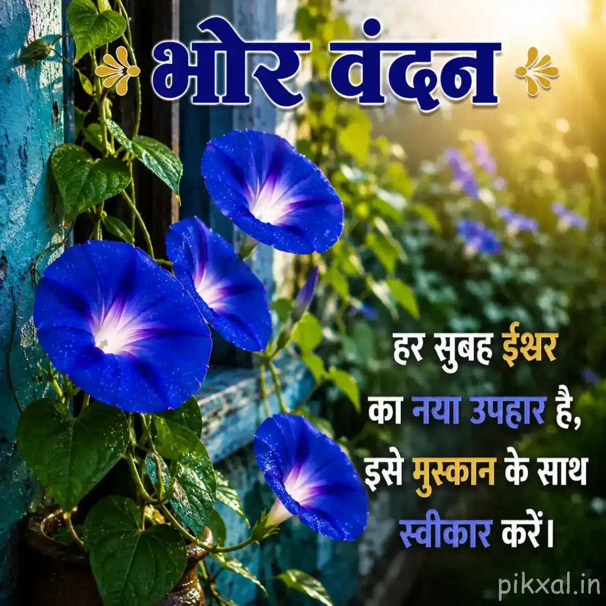 Several blue funnel-shaped flowers with pink centers and green leaves against a softly blurred garden background