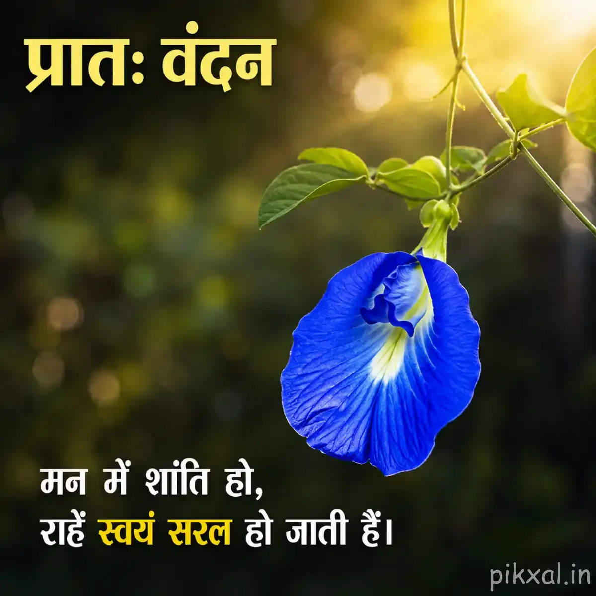 Single blue funnel-shaped flower with a pale center hanging from a leafy stem against warm blurred greenery