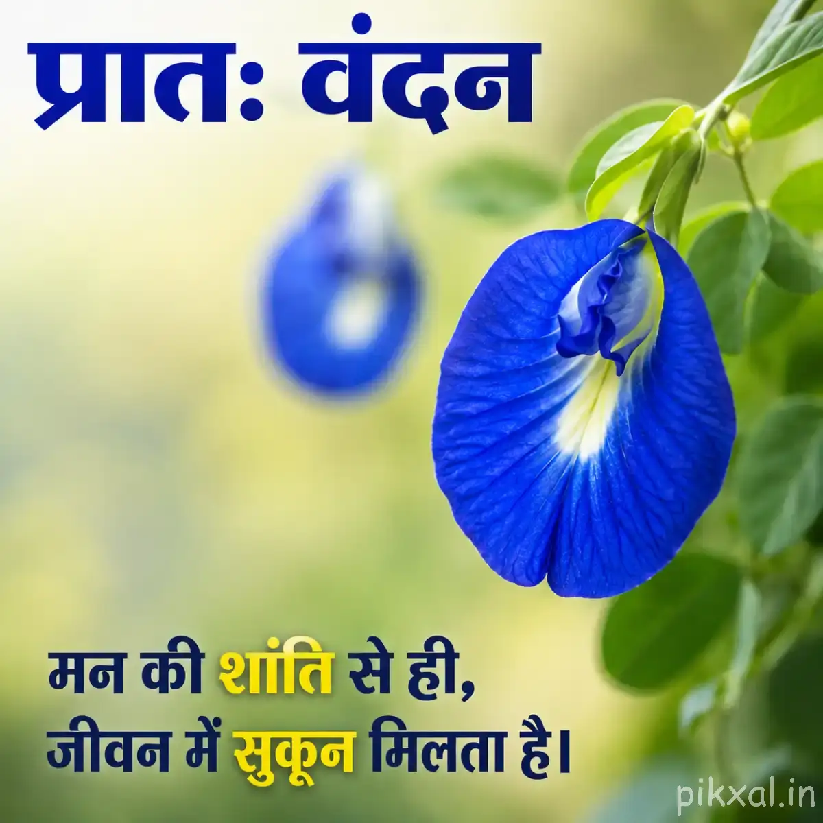 Blue funnel-shaped flowers with pale centers and green stems against a softly blurred green background