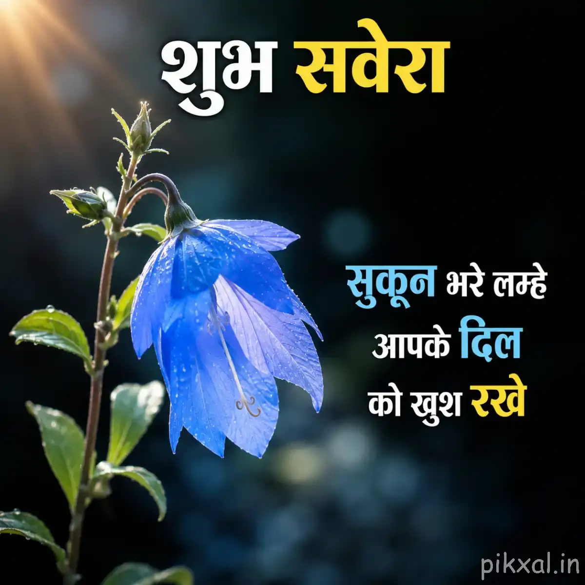 Single drooping blue-purple flower on a slender stem against a dark softly blurred background with a Hindi morning wish