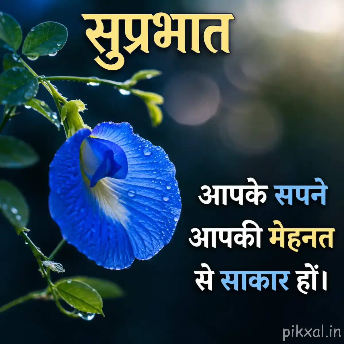 Single blue funnel-shaped flower with a pale center and water droplets among green leaves with a Hindi morning wish