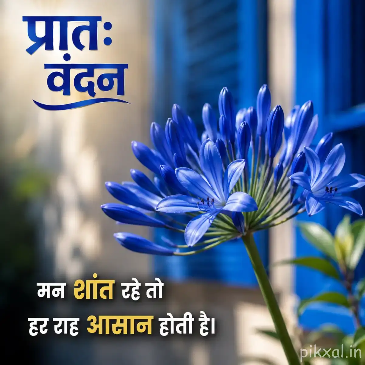 Blue flower with many narrow petals on a slender stem against a blurred blue background with a Hindi morning message