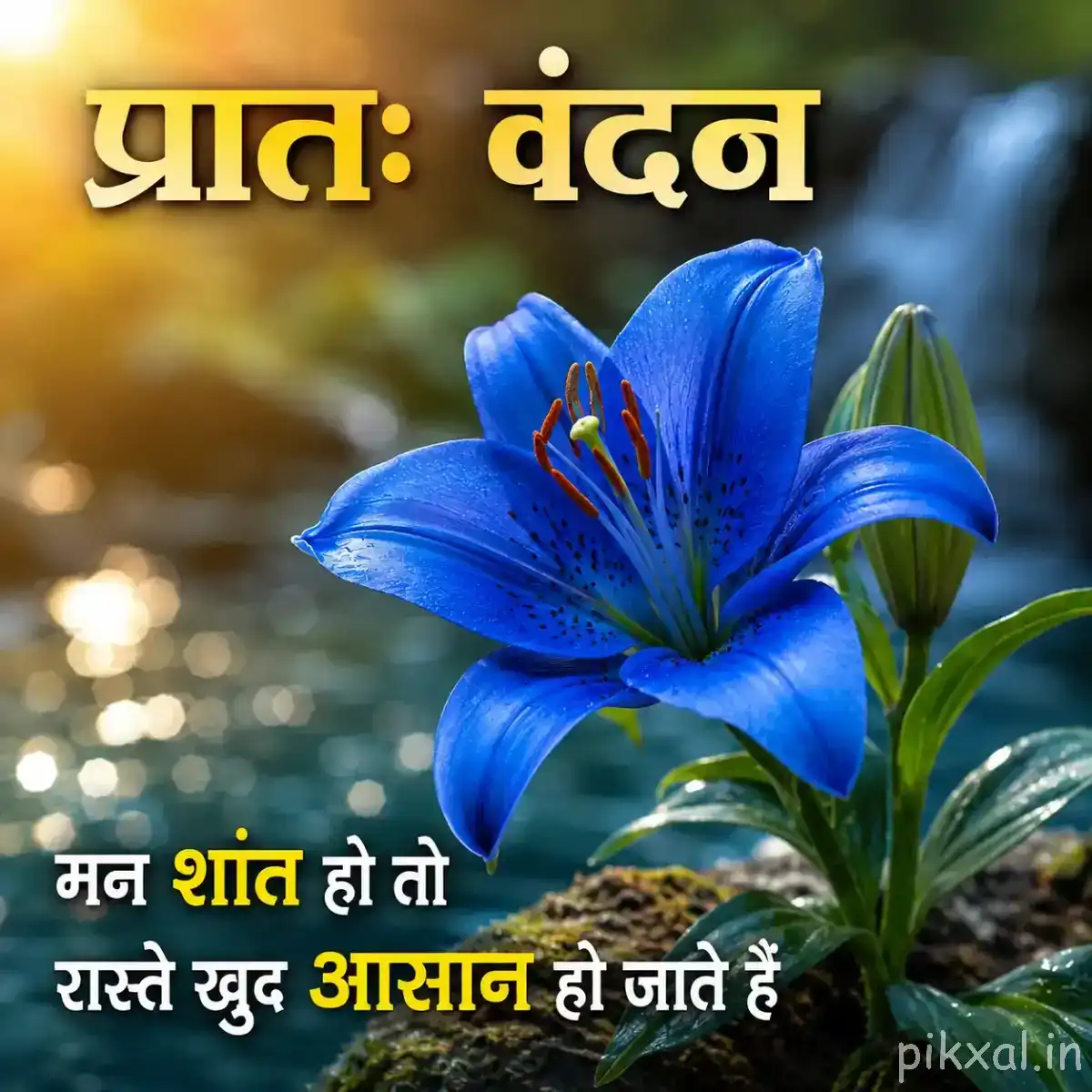 Single blue flower with pointed petals and orange stamens surrounded by green leaves and a Hindi morning wish