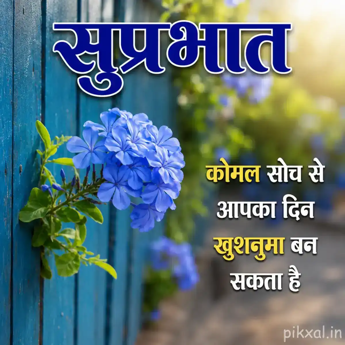 Cluster of pale blue flowers with green leaves against a blue wooden background and a Hindi Good Morning message