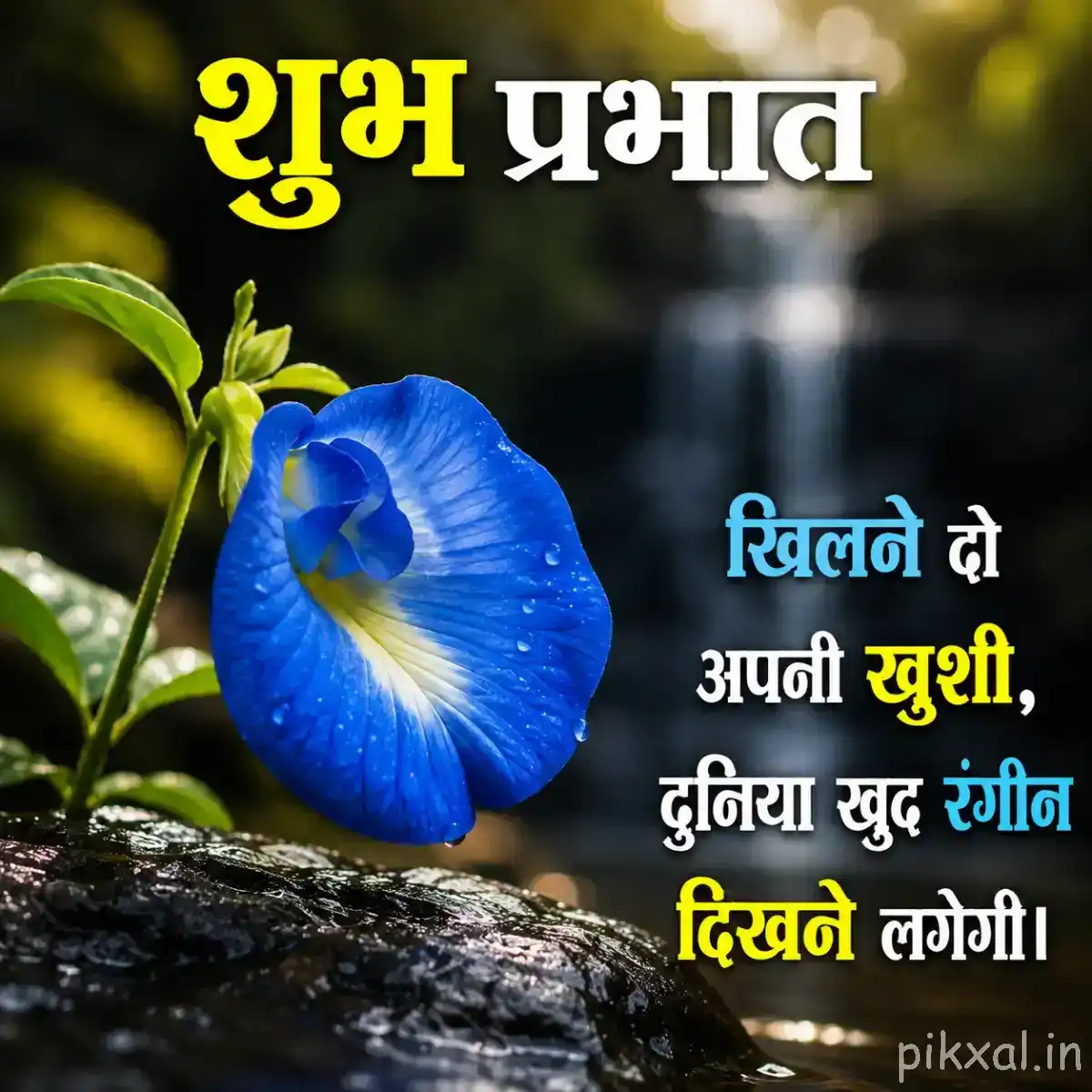 Single blue flower with a pale center and green leaves against a softly blurred natural background with a Hindi morning wish