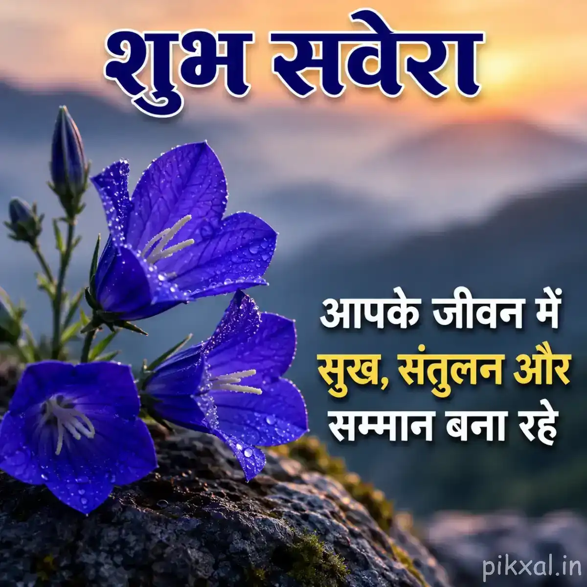 Three purple flowers with elongated petals growing among rocks, with a Hindi Good Morning wish