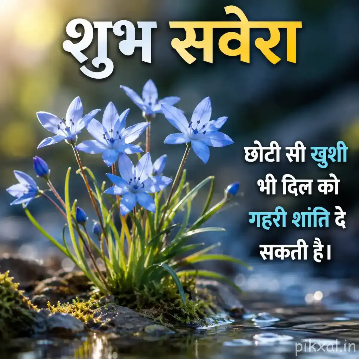 Several pale blue flowers with narrow petals growing upright among green grass, with a Hindi Good Morning wish