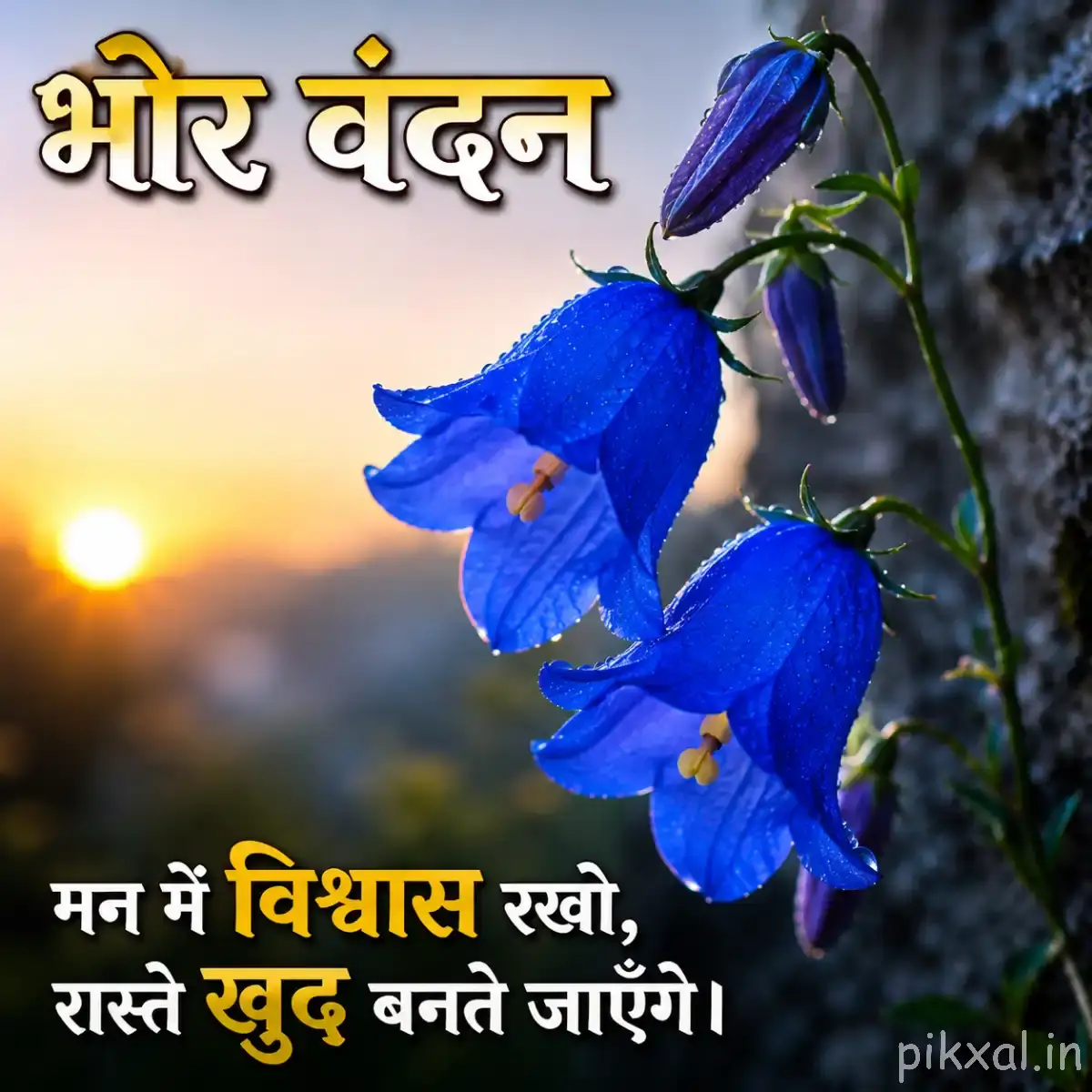 Several deep blue hanging flowers with unopened buds against warm sunset light and a Hindi morning wish