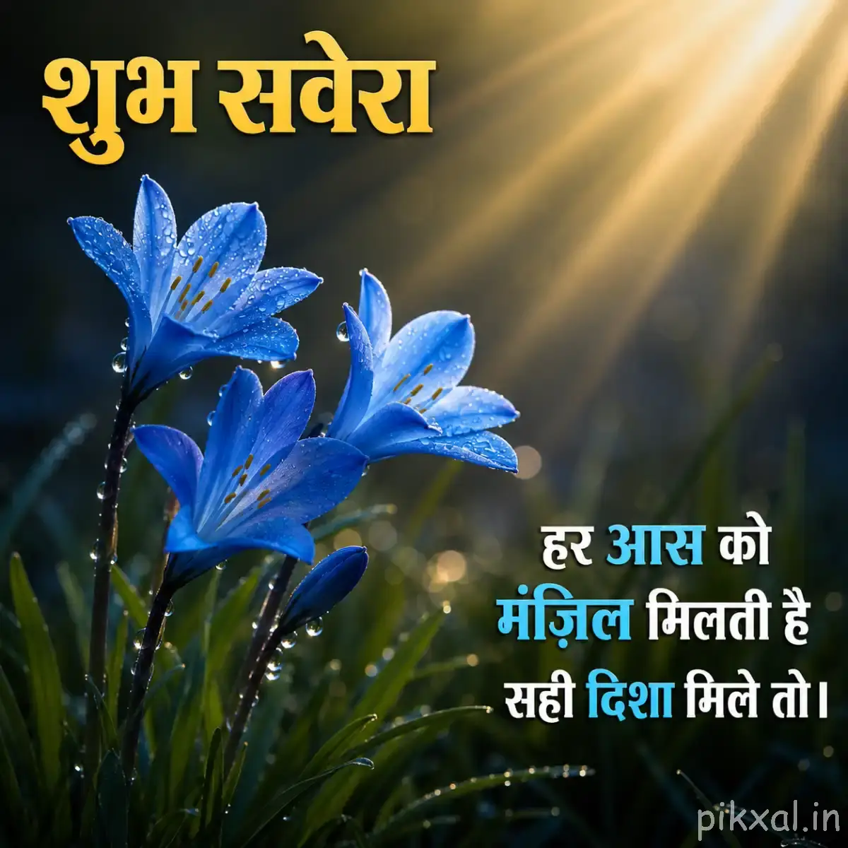 Three blue elongated flowers with narrow petals and green leaves against warm golden light