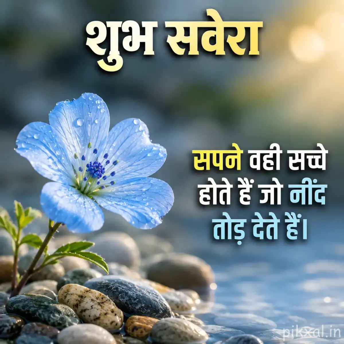 Single pale blue flowers with rounded petals beside smooth rocks and water, with a Hindi Good Morning wish