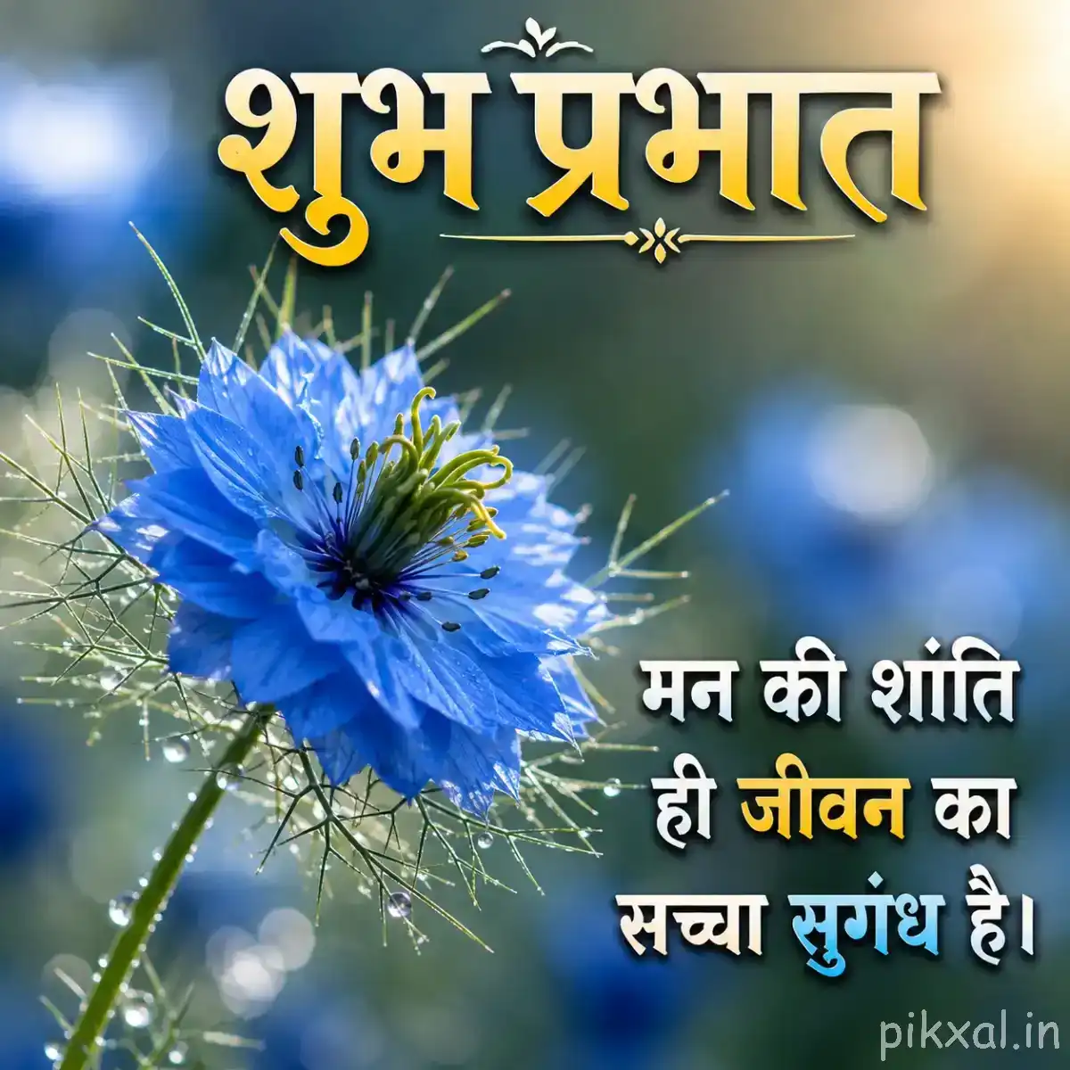 Single fringed blue flower with fine pointed petals, green stem, and a Hindi Good Morning wish