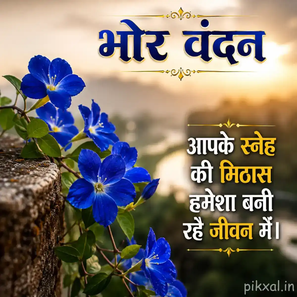 Cluster of small blue flowers with green leaves beside a rustic wooden surface and Hindi morning wish