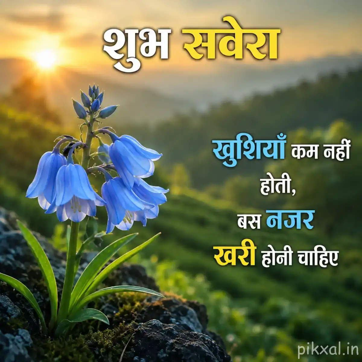 Several pale blue hanging flowers with green leaves growing among rocks, with warm sunlight and a Hindi morning wish
