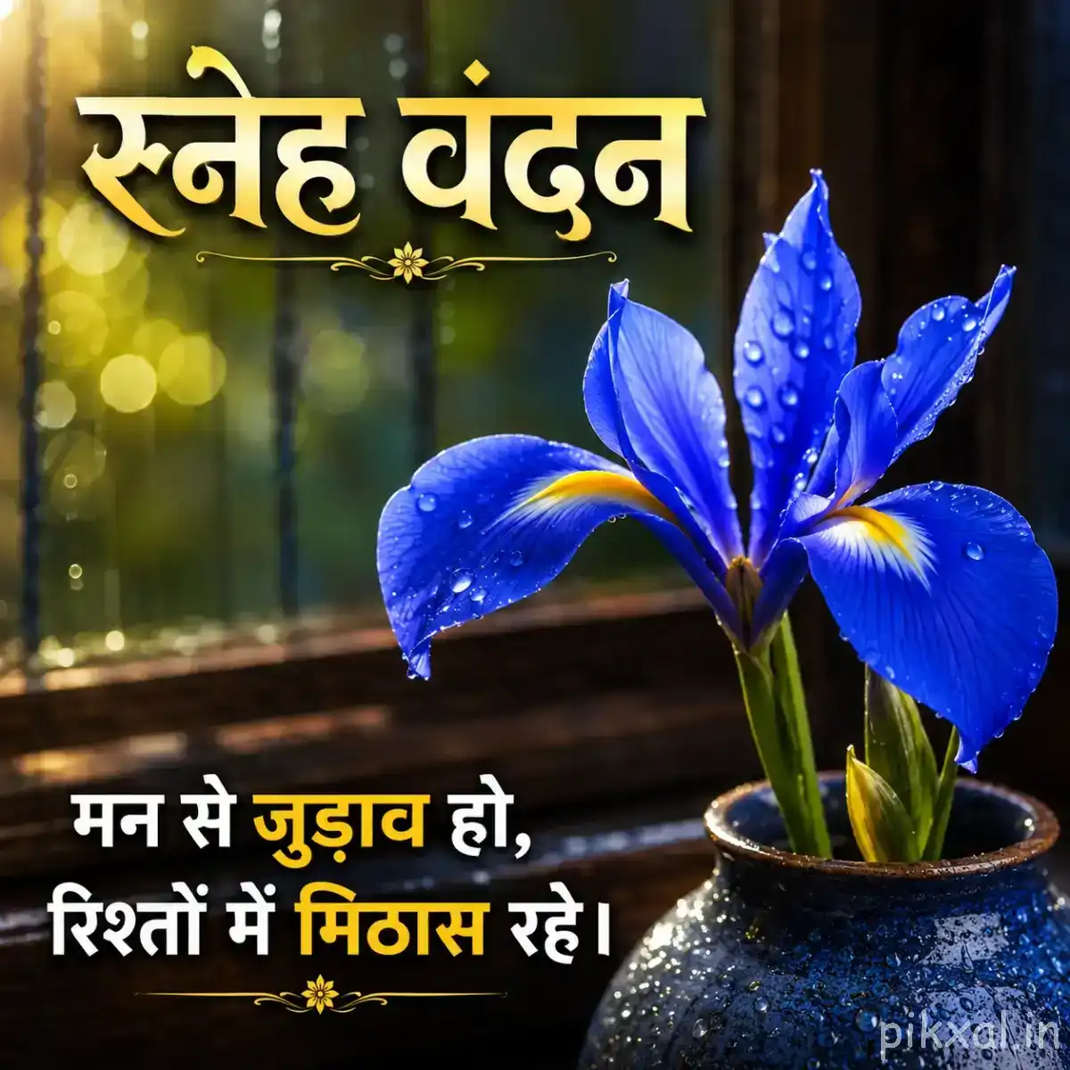 Single deep blue layered flower with an upright unopened bud in a small pot, accompanied by a Hindi morning wish