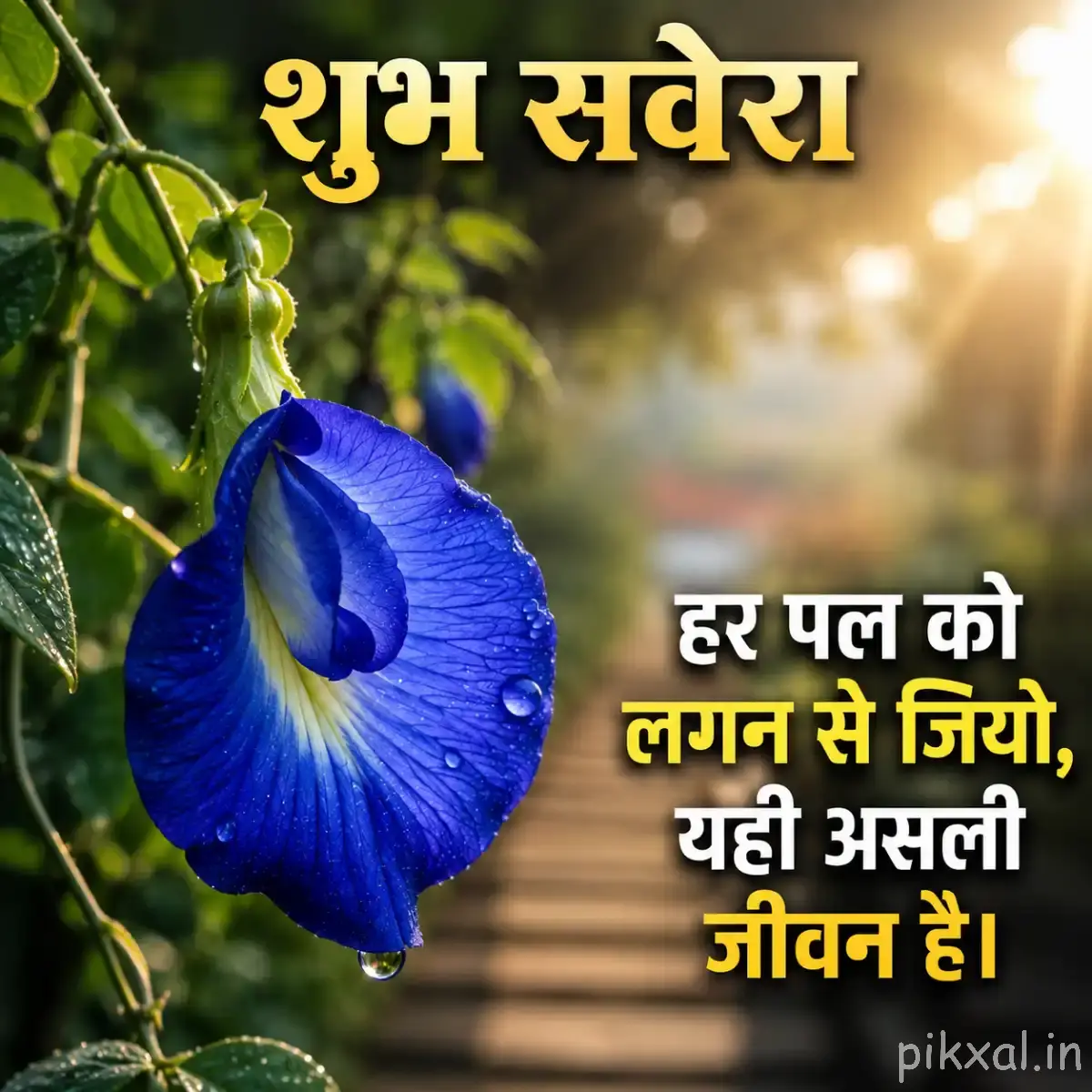 Single deep blue curled flower with green leaves and an unopened bud against warm blurred light