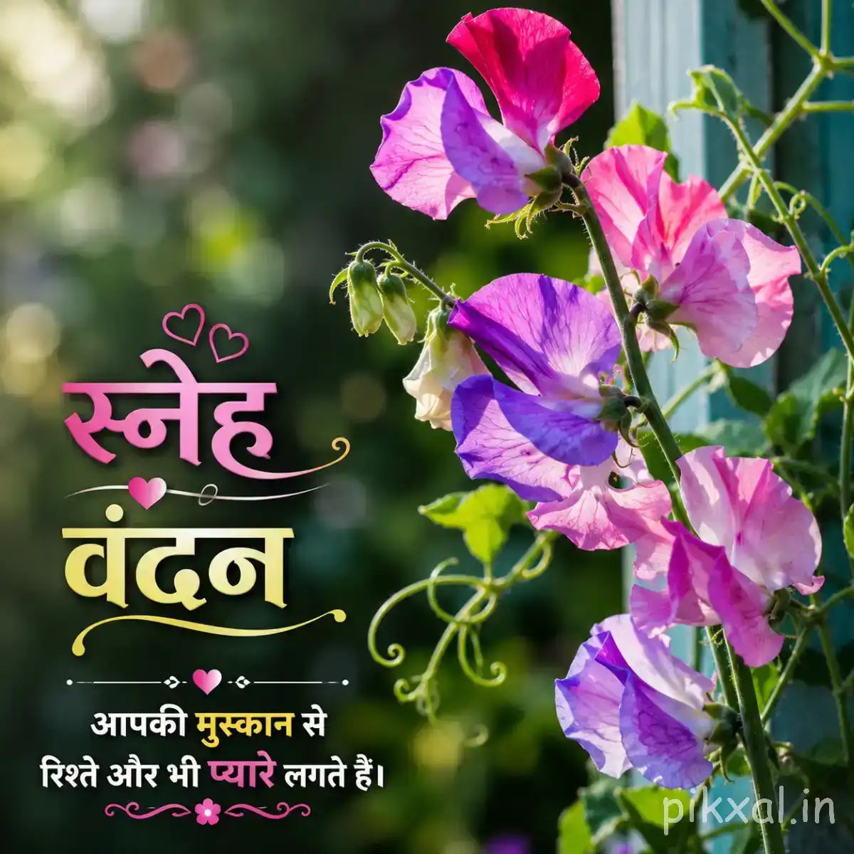 Purple and pink flowers growing along slender green stems with foliage and a Hindi morning wish