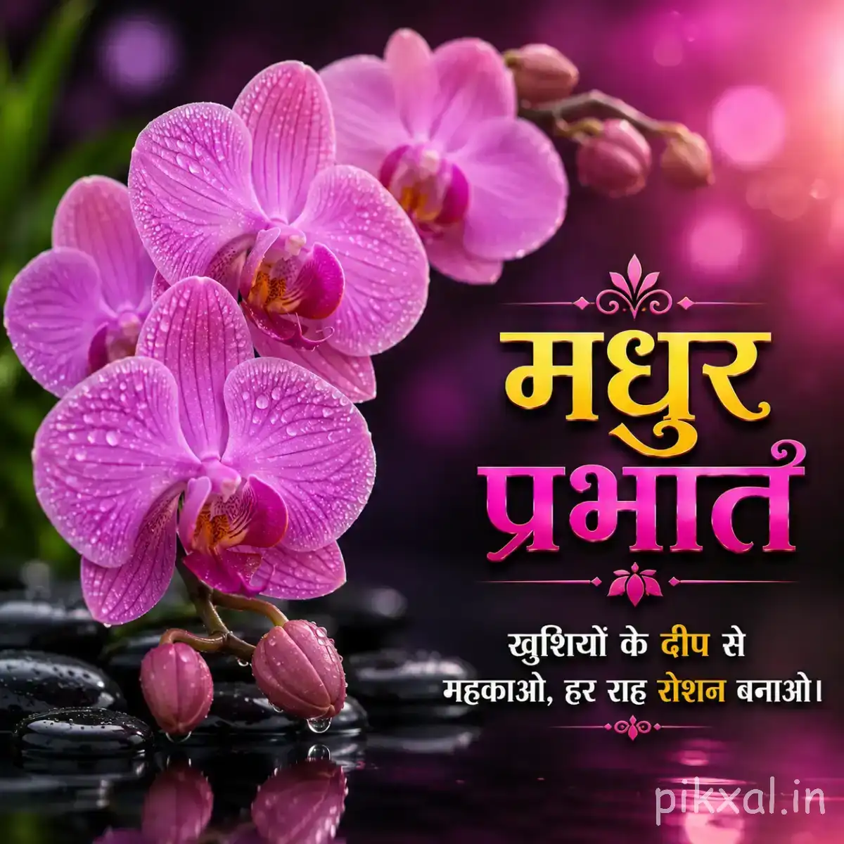 Cluster of pink and purple flowers with rounded petals and visible water droplets beside a Hindi morning greeting