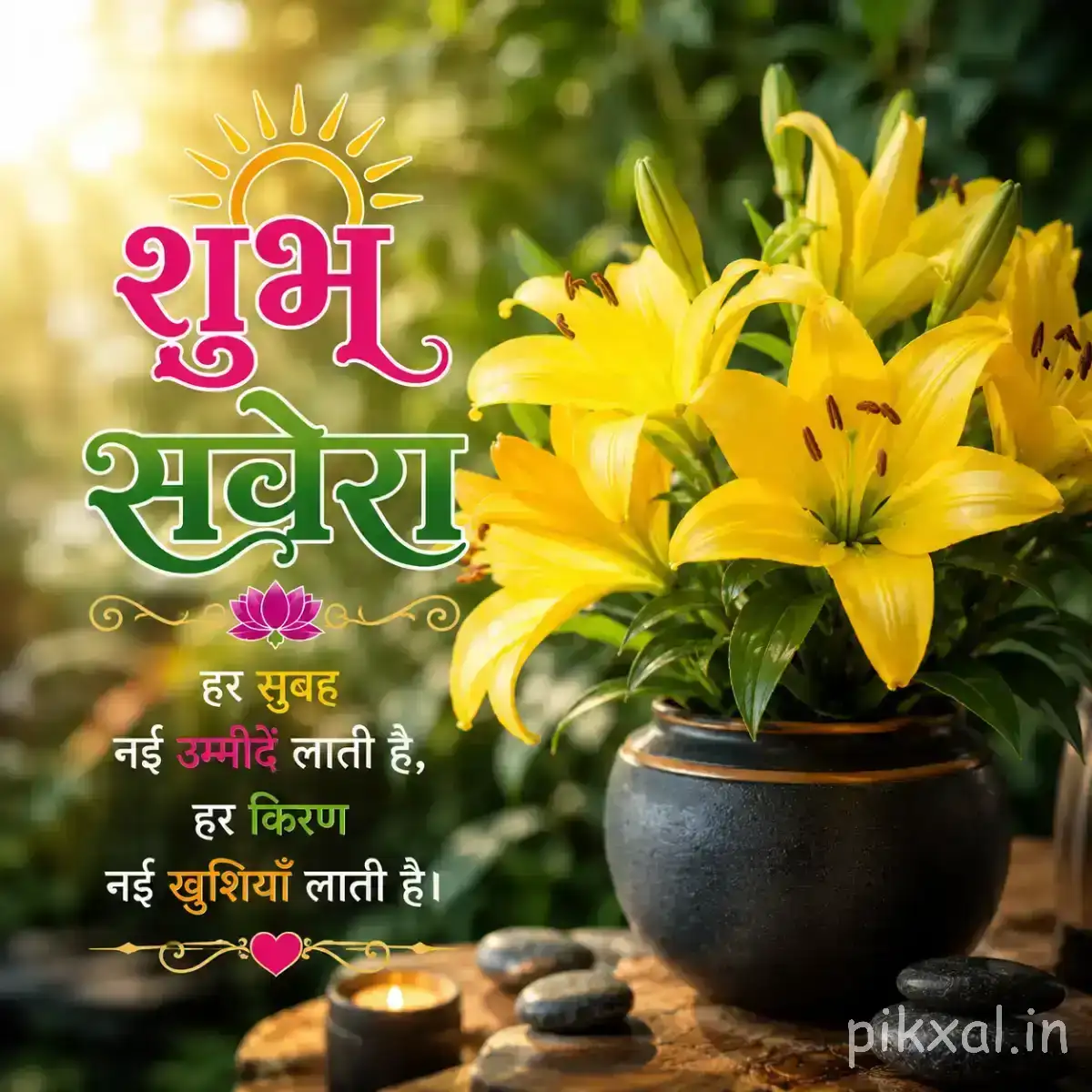 Several yellow flowers with elongated petals in a dark pot surrounded by green foliage and a Hindi morning wish