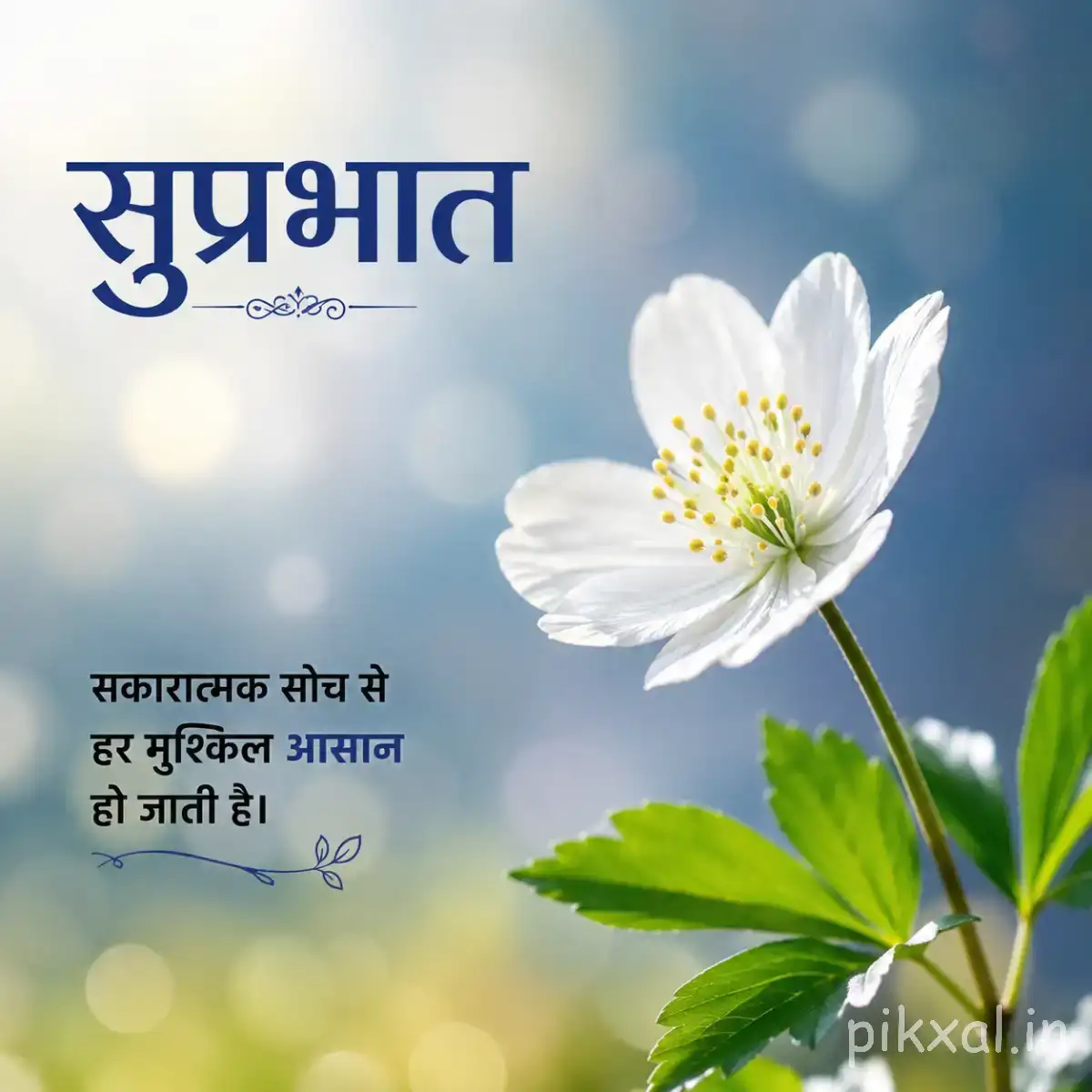 Single pale purple flower with slender petals and a yellow center against a softly blurred blue sky