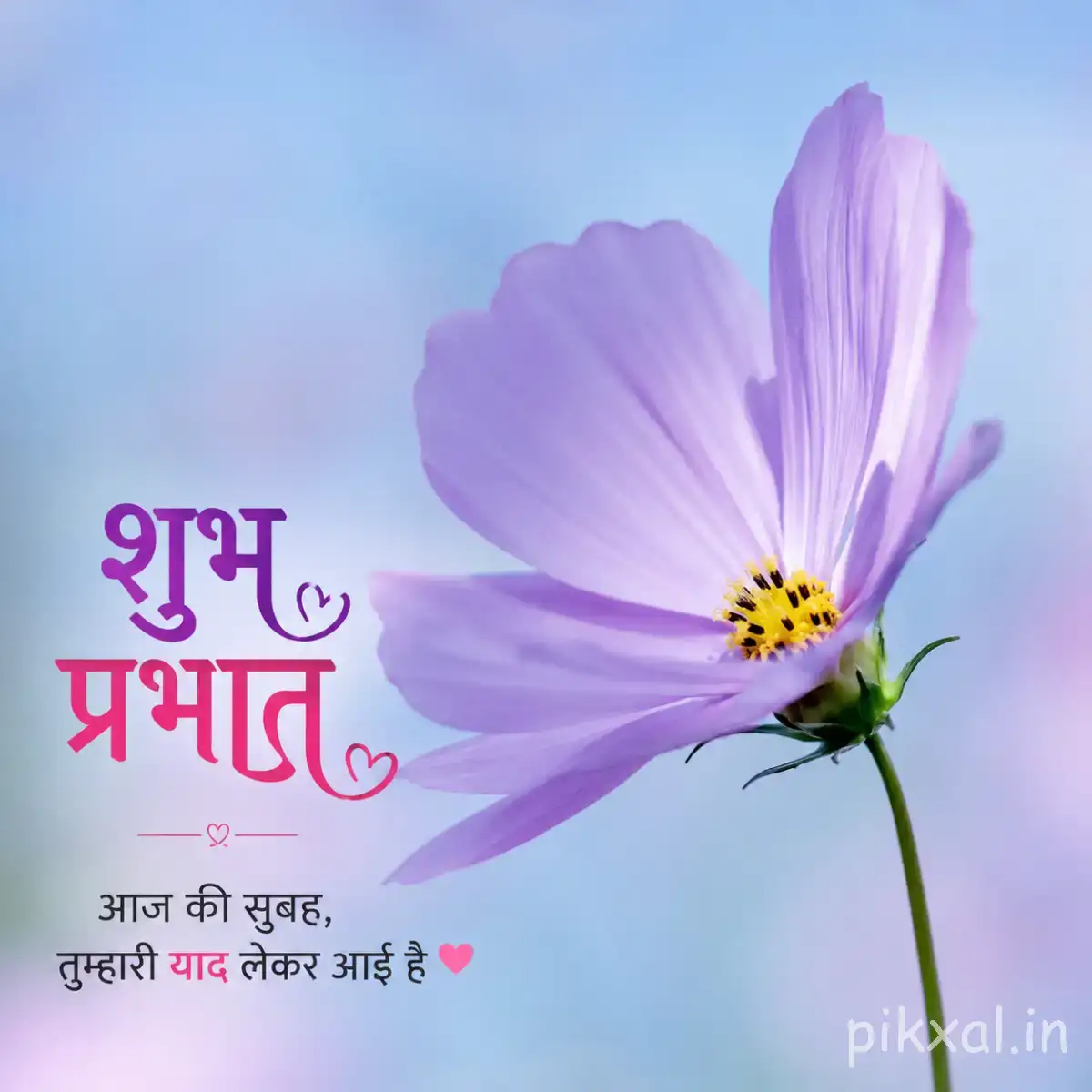 Cluster of small bright pink flowers on leafy branches against a blue background with a Hindi Good Morning wish