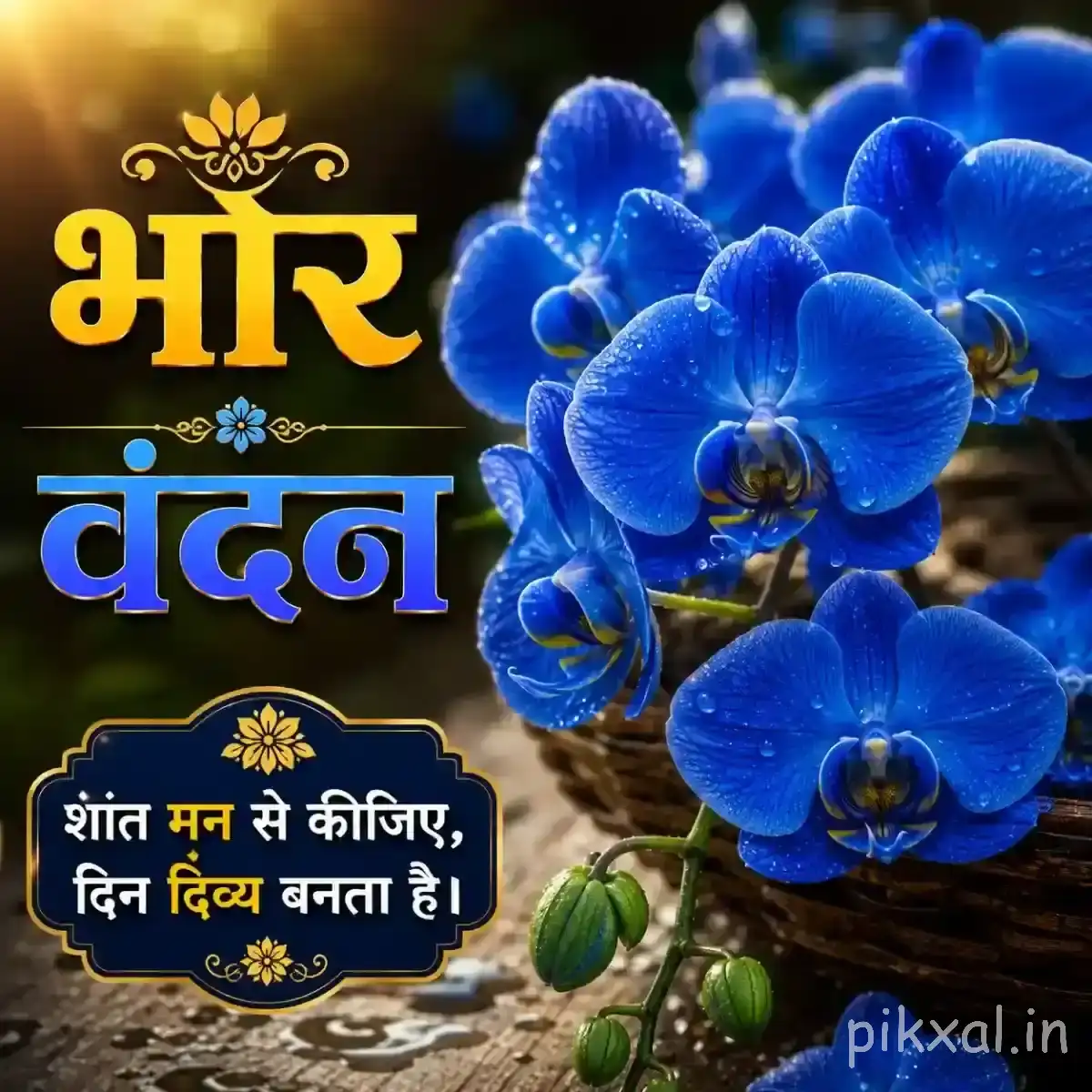 Cluster of vivid blue flowers with layered petals and green leaves beside a Hindi morning greeting