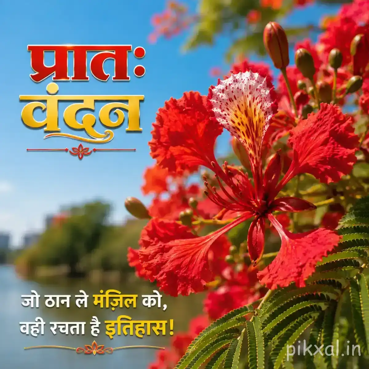 Red-orange flowers with long stamens and green foliage against a blue sky with a Hindi morning wish