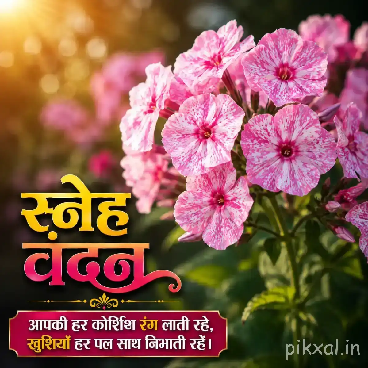Cluster of pale pink flowers with darker pink markings against softly blurred greenery with a Hindi morning wish