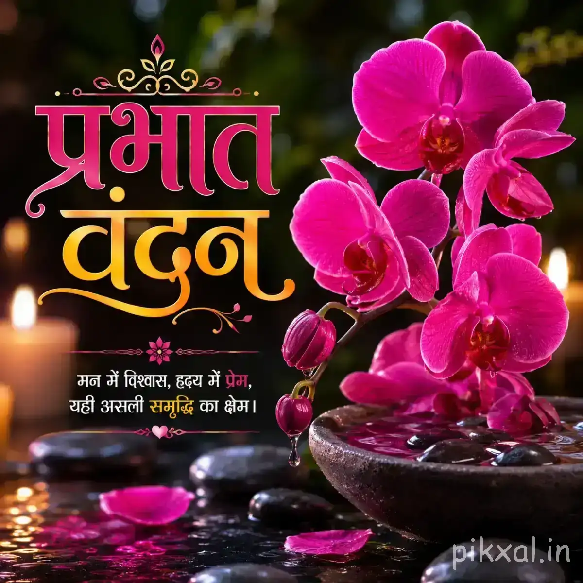 Cluster of bright magenta flowers with rounded petals on dark stones with a Hindi morning wish