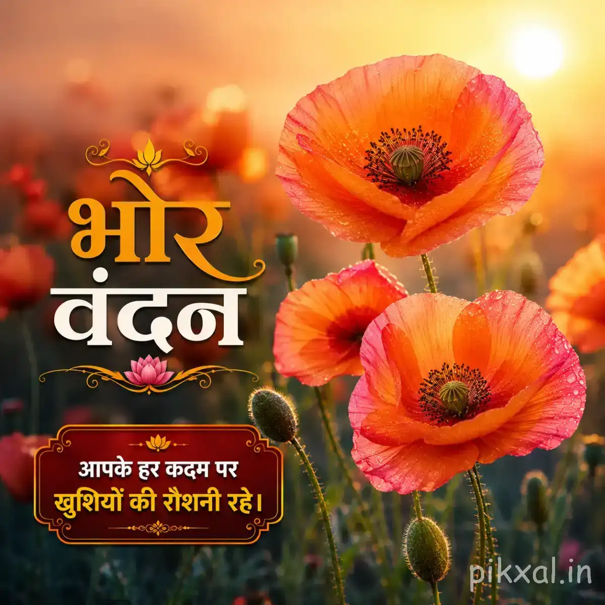 Two orange flowers with red centers and delicate petals against a softly blurred sunset background with a Hindi morning wish